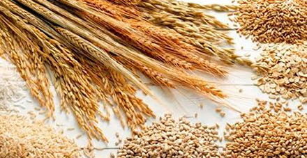 Creating Unique Insights